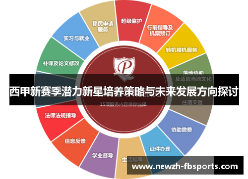 西甲新赛季潜力新星培养策略与未来发展方向探讨