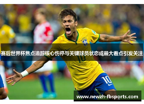 赛后世界杯焦点追踪核心伤停与关键球员状态成最大看点引发关注
